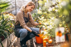 Terminy i odpowiedzialność: jak poprawnie składać raporty BDO dla produkcji telewizorów